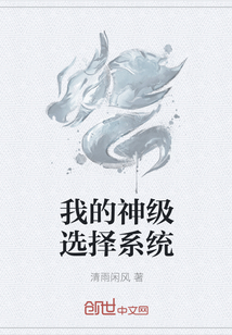 我的神级选择系统
