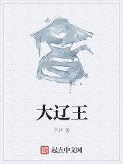 大辽王