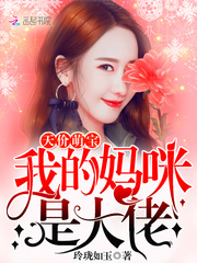 天价萌宝：我的妈咪是大佬