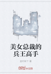 美女总裁的兵王高手