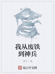 我从废铁到神兵