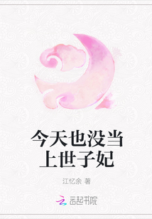 今天也没当上世子妃