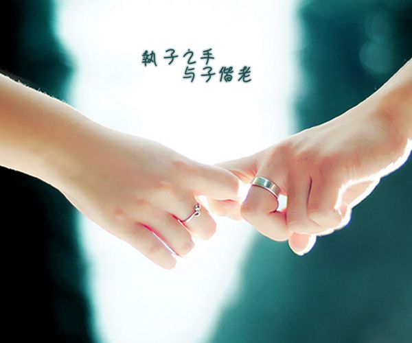 执子之手，与子偕老