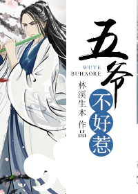 五爷不好惹(嫁给清代钻石男)