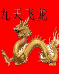 九天飞龙