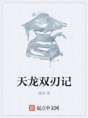 天龙双刃记