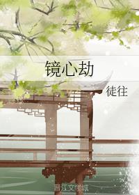镜心劫