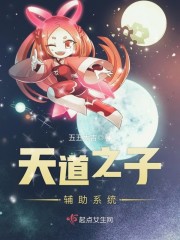 天道之子辅助系统
