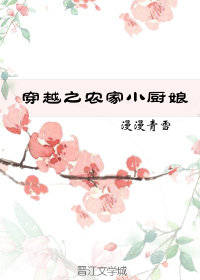 穿越之农家小厨娘