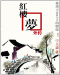 红楼梦外传