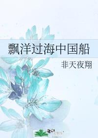 飘洋过海中国船