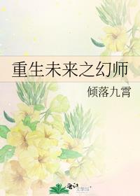 重生未来之幻师
