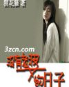 没有老婆的日子