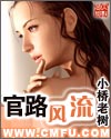 官路风流