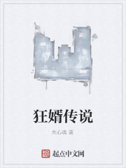 狂婿传说