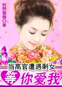 当高官遭遇剩女：等你爱我