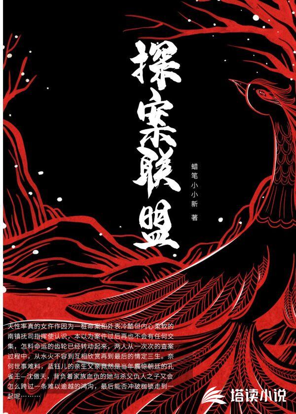 探案联盟