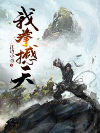 我拳撼天