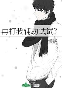 再打我辅助试试？