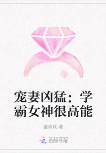 宠妻凶猛：学霸女神很高能
