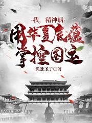 我，精神病，用华夏底蕴掌控国运