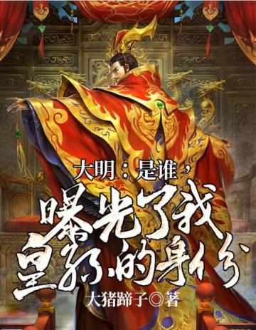 大明是谁曝光了我皇孙的身份