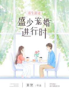 重生甜妻盛少宠婚进行时