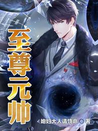 至尊元帅