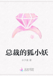 总裁的狐小妖