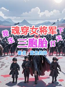 魂穿女将军，我生三胞胎打天下