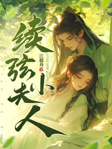 续弦小夫人