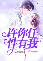 许你任性有我