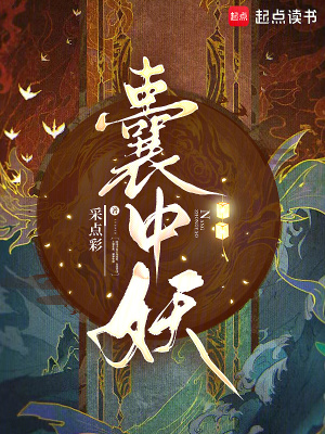 囊中妖