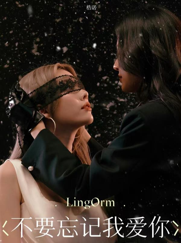 不要忘记我爱你：LingOrm