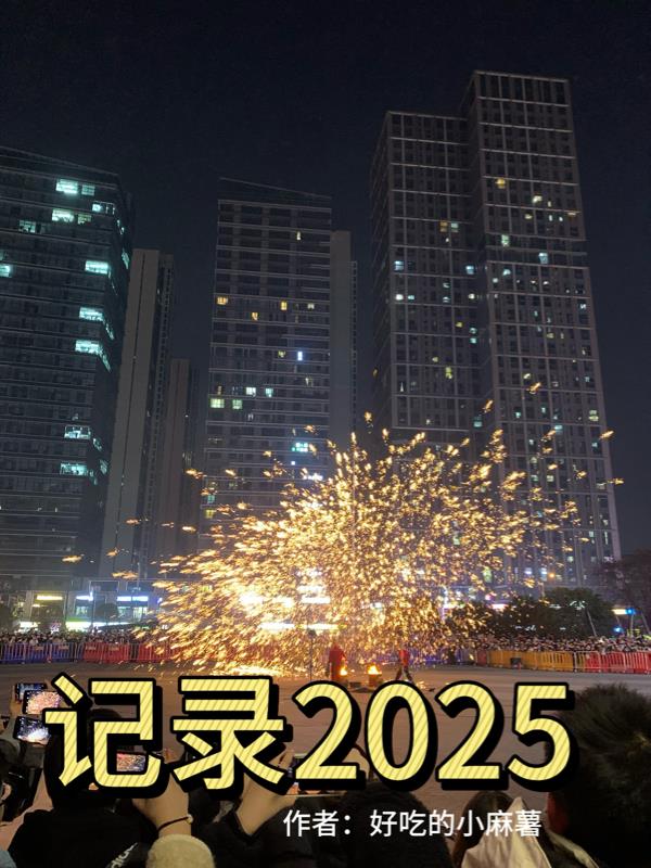 记录2025