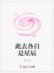 此去各自是星辰