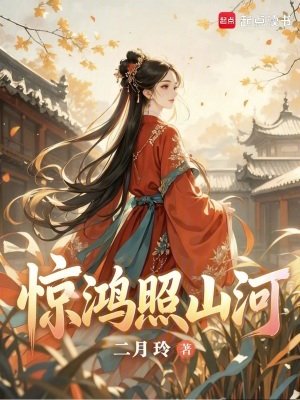 惊鸿照山河