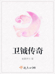 卫钺传奇
