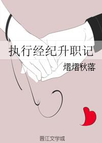 执行经纪升职记