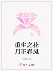 重生之花月正春风