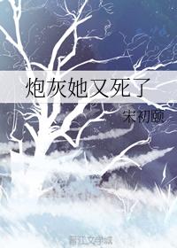 炮灰她又死了