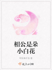 相公是朵小白花