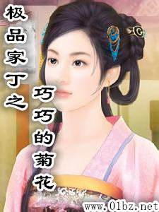极品家丁之巧巧的菊花