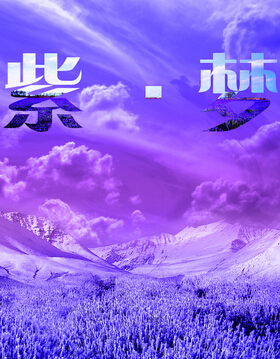 被胁迫的紫梦