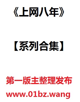 上网八年系列合集