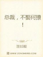 总裁，不娶何撩！