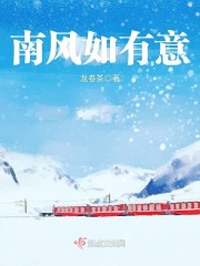 南风如有意