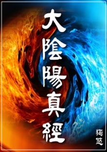 大阴阳真经