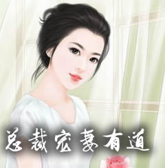 总裁宠妻有道