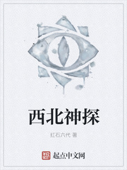 西北神探